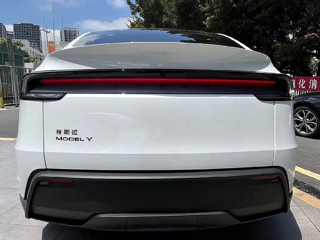 Tesla Model Y — фото 2