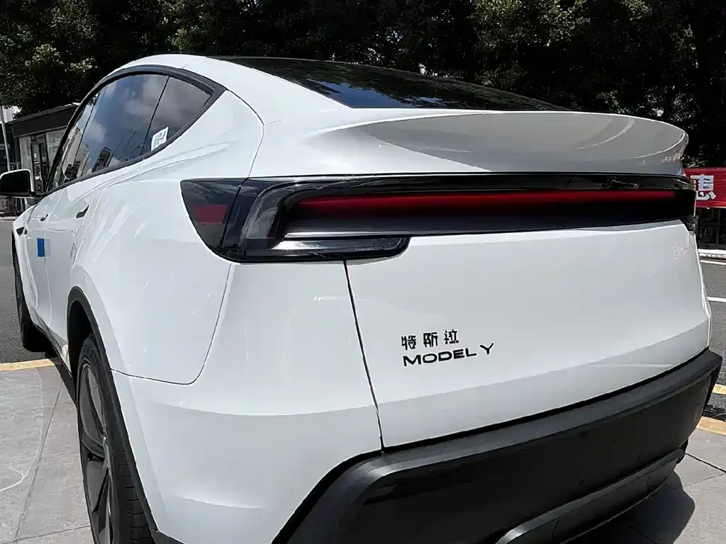 Tesla Model Y — фото 8