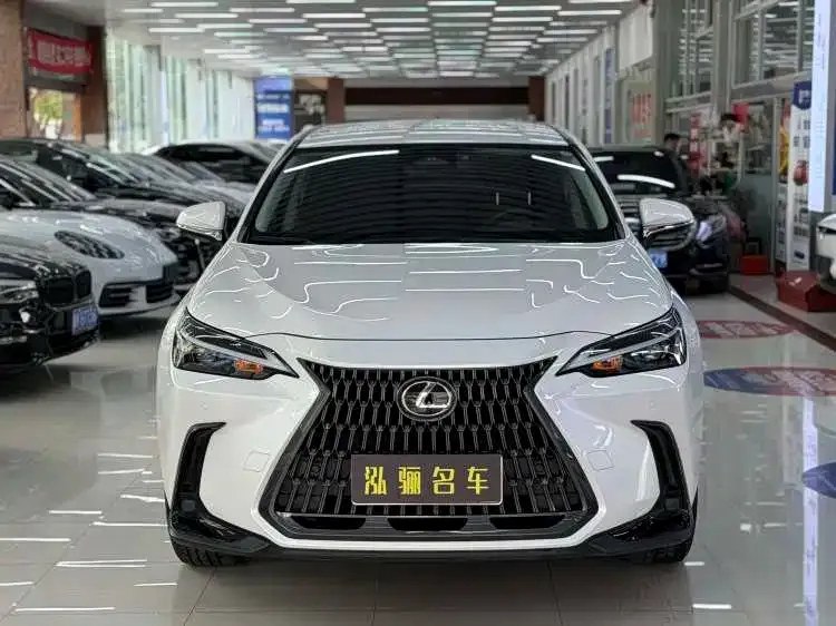 Lexus NX — фото 10