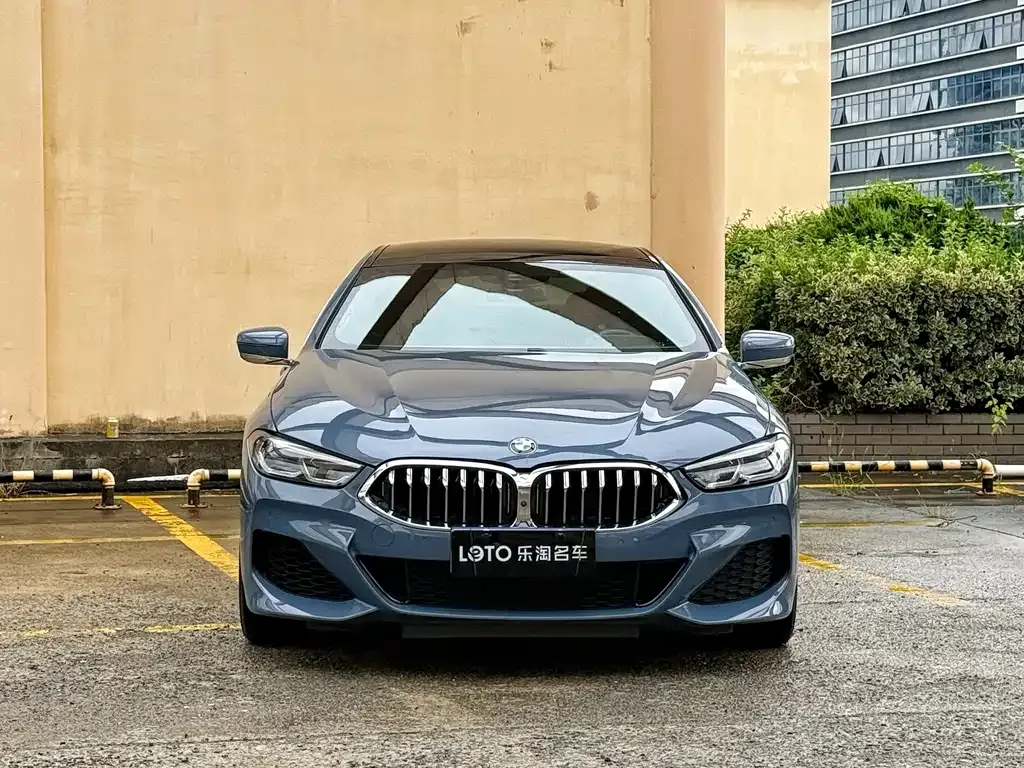 BMW 8 Series — фото 10