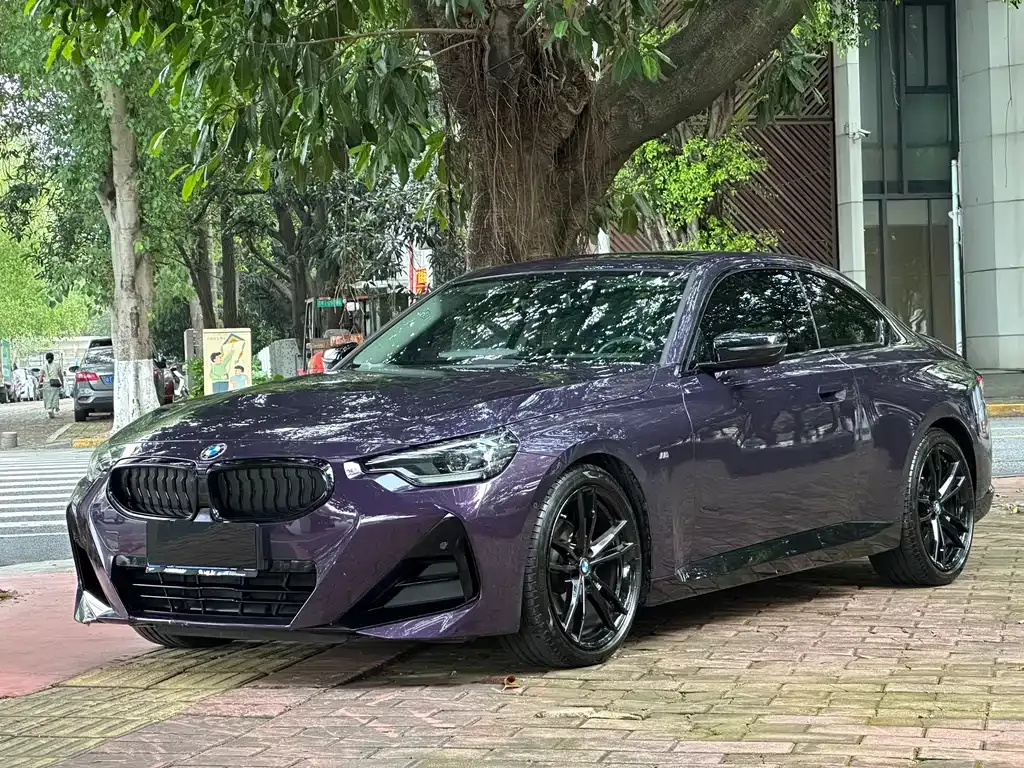 BMW 2 Series (Import) — фото 1