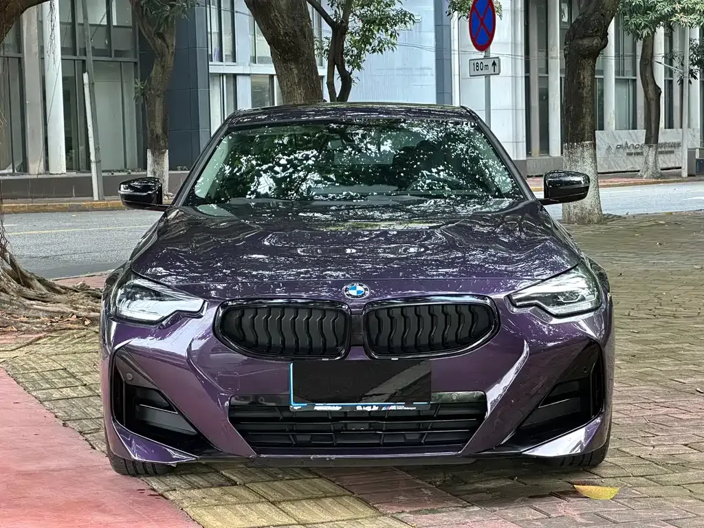 BMW 2 Series (Import) — фото 9