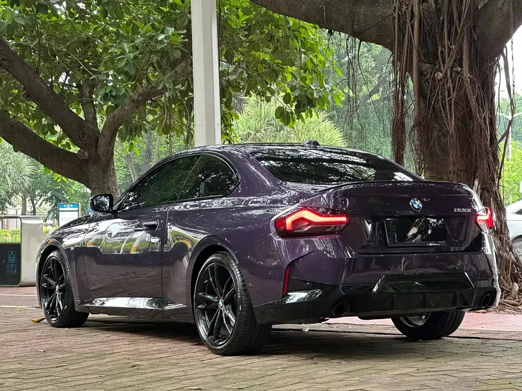 BMW 2 Series (Import) — фото 6