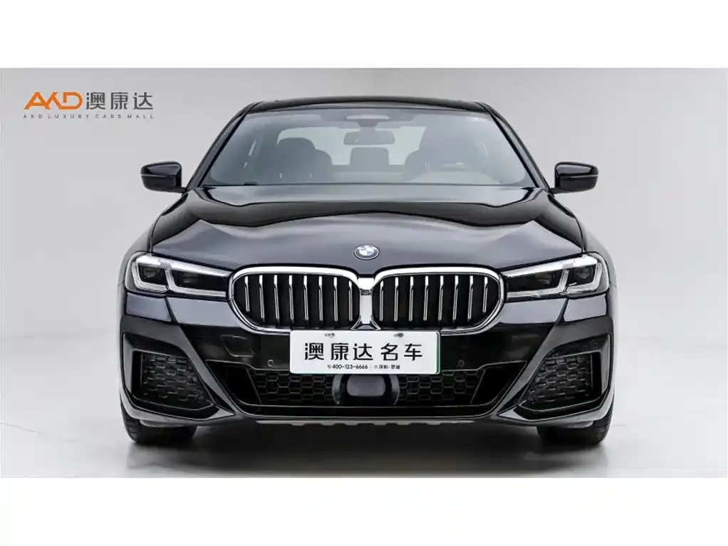 BMW 5 Series New Energy — фото 7