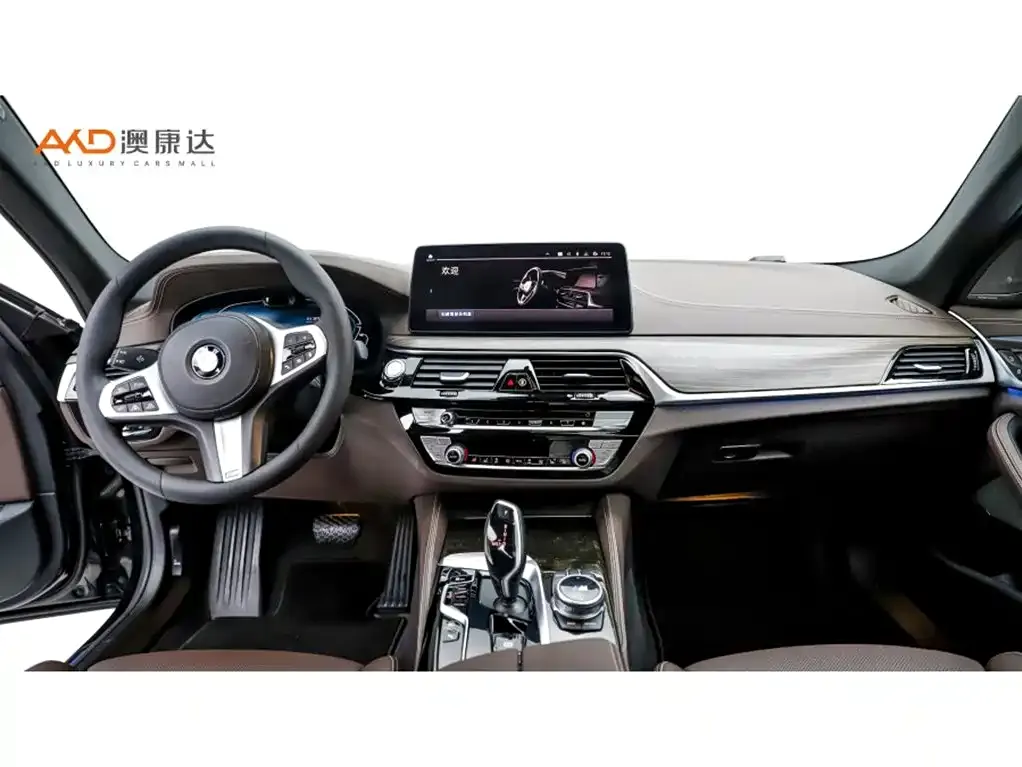 BMW 5 Series New Energy — фото 10