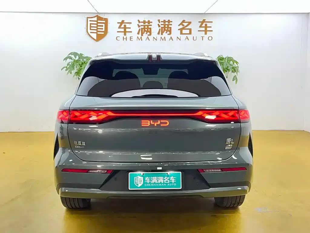 BYD Tang L — фото 2