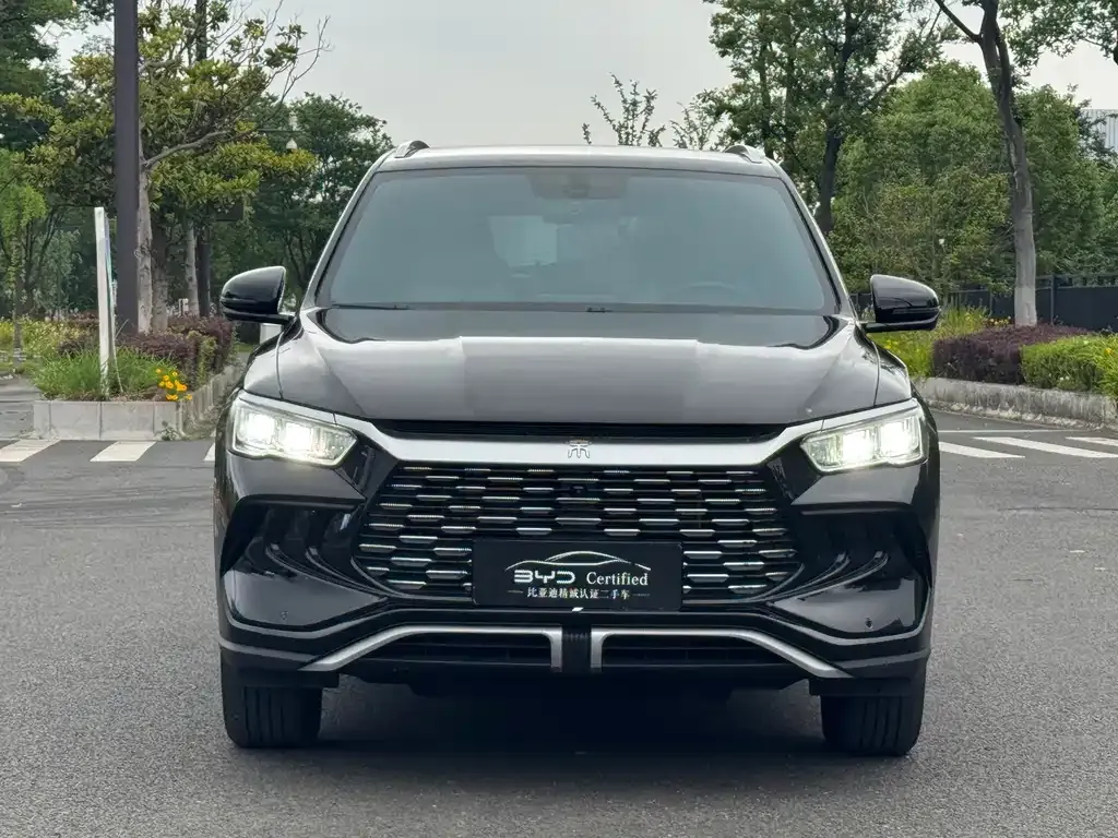 BYD Pro New Energy — фото 8