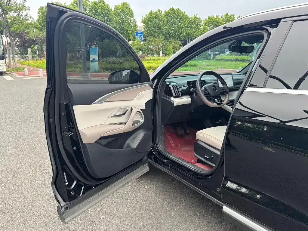 BYD Pro New Energy — фото 9