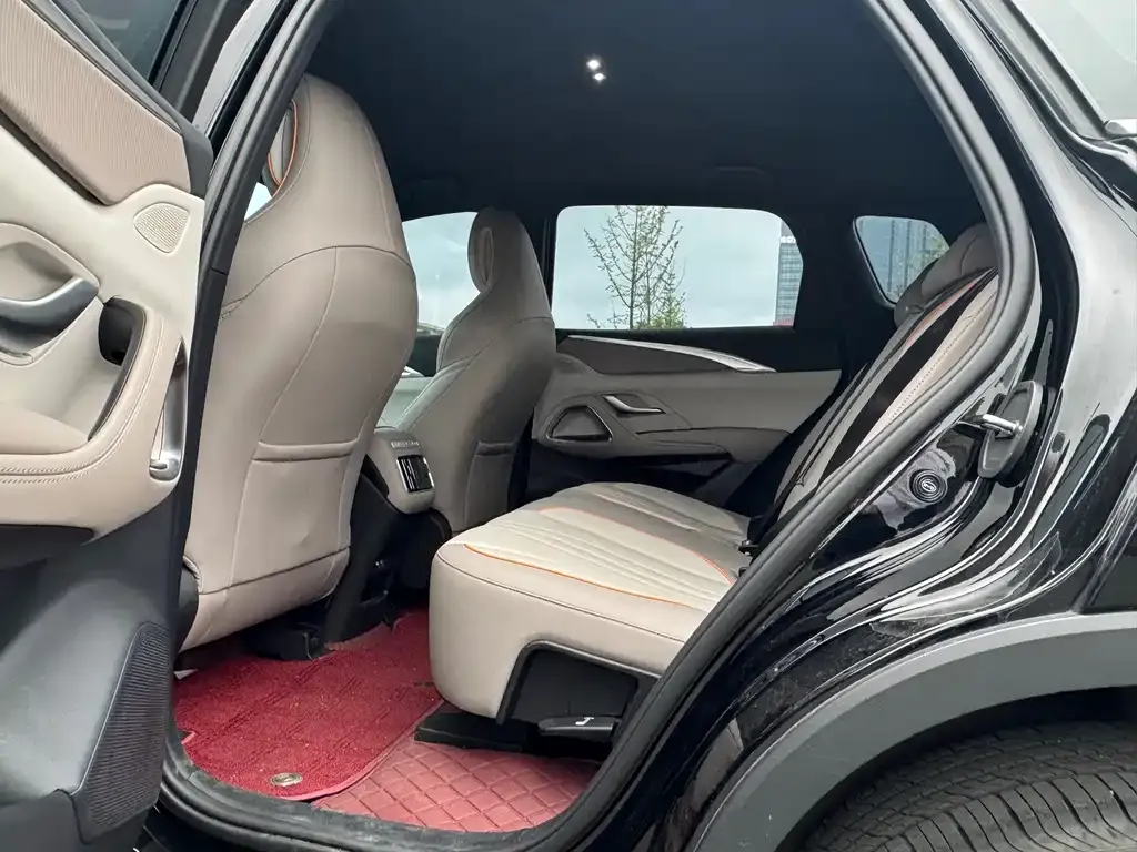 BYD Pro New Energy — фото 6