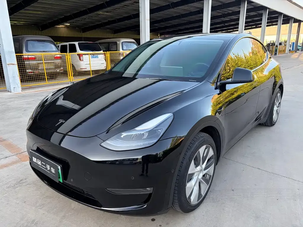 Tesla Model Y — фото 1