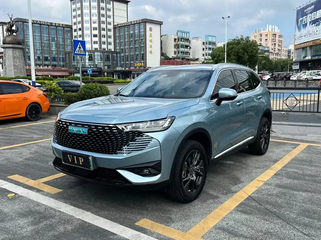 Haval H6 New Energy — фото 1