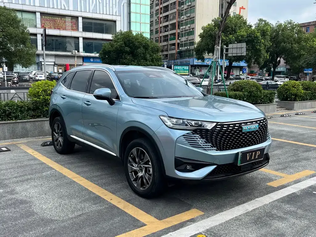 Haval H6 New Energy — фото 4
