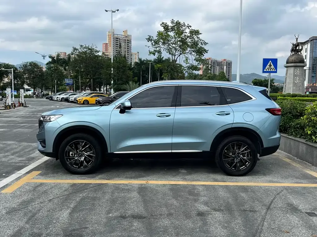 Haval H6 New Energy — фото 5