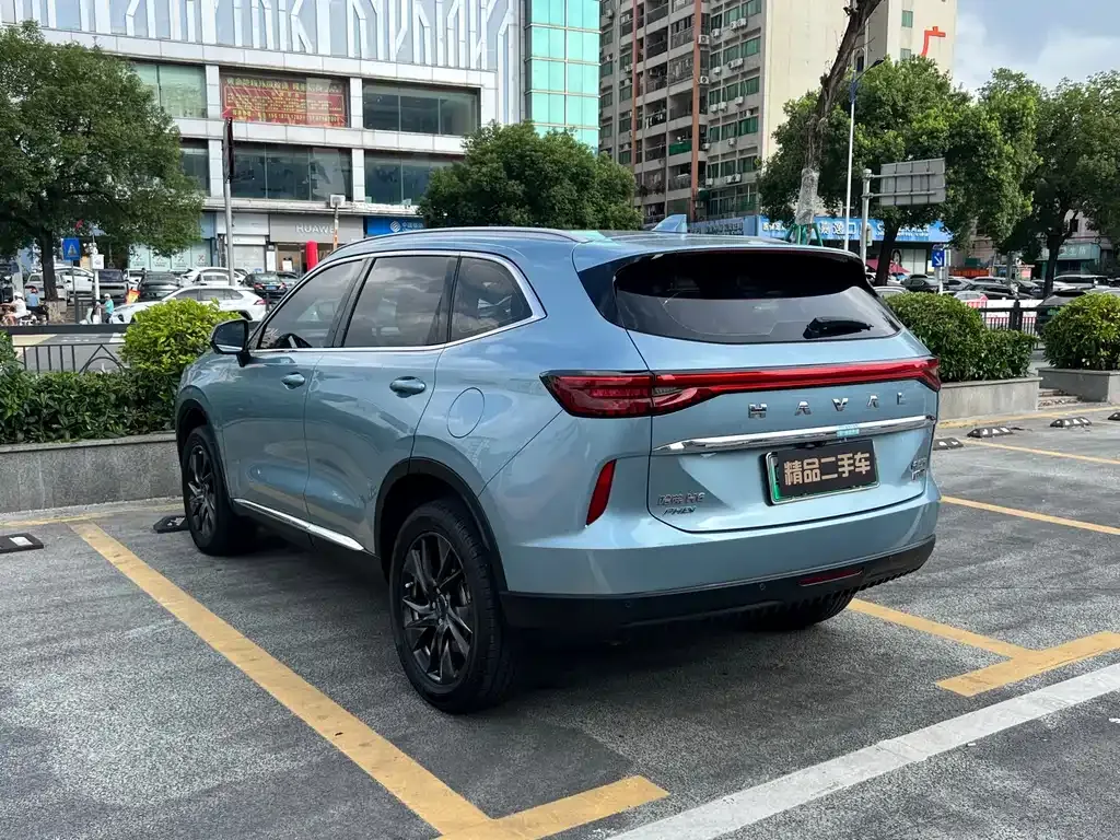 Haval H6 New Energy — фото 7
