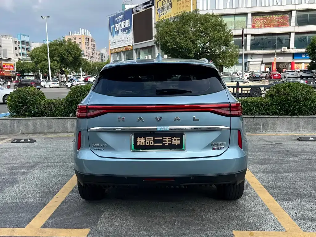 Haval H6 New Energy — фото 9