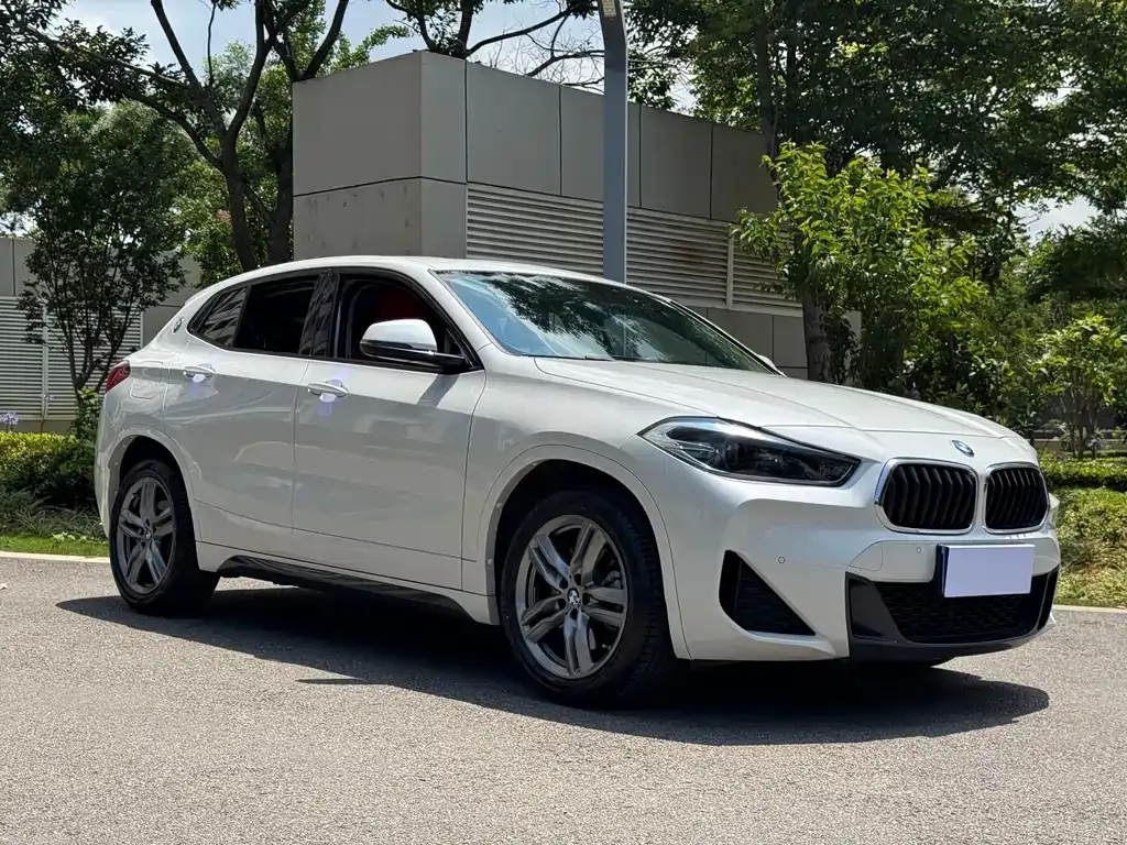 BMW X2 — фото 9