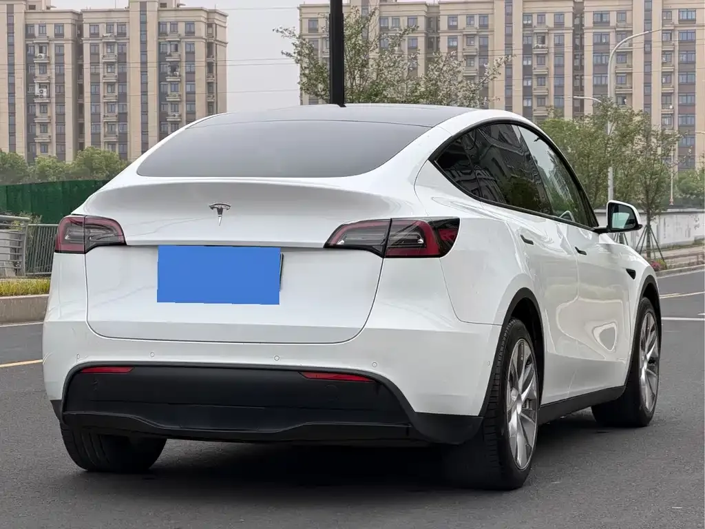 Tesla Model Y — фото 3