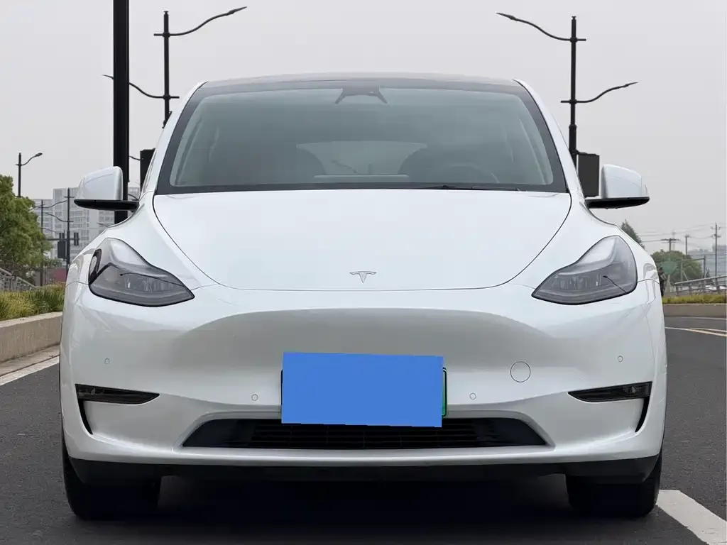 Tesla Model Y — фото 2