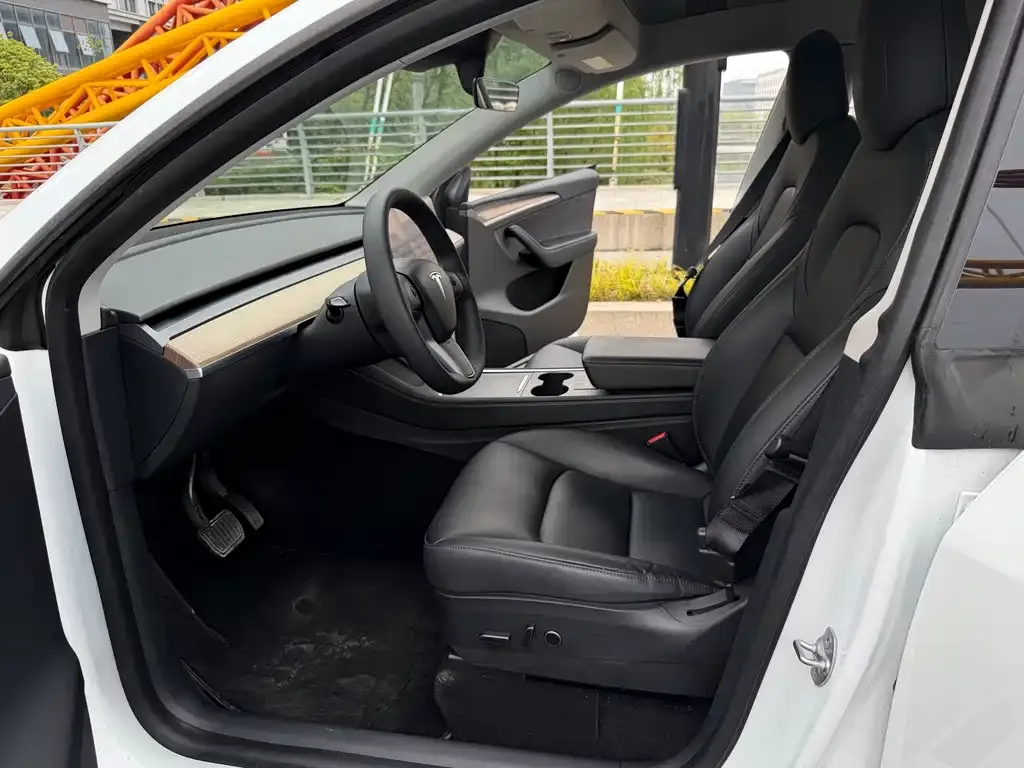 Tesla Model Y — фото 8