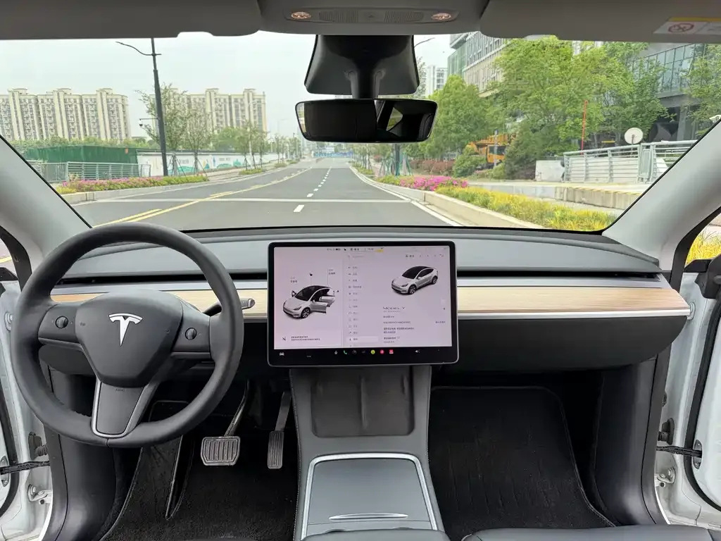 Tesla Model Y — фото 9