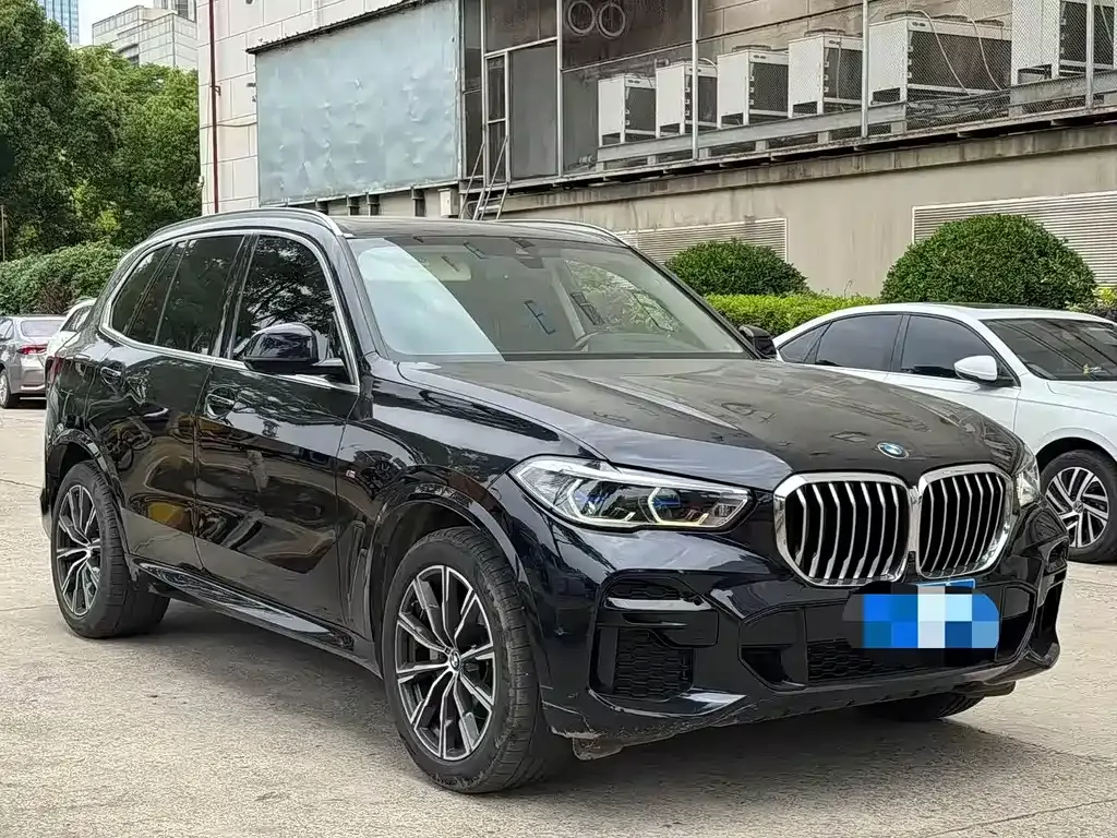 BMW X5 (Import) — фото 10