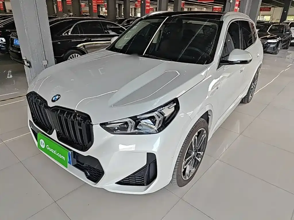 BMW X1 — фото 1
