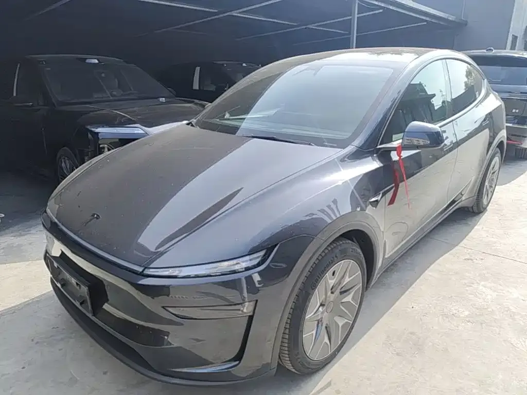Tesla Model Y L — фото 1