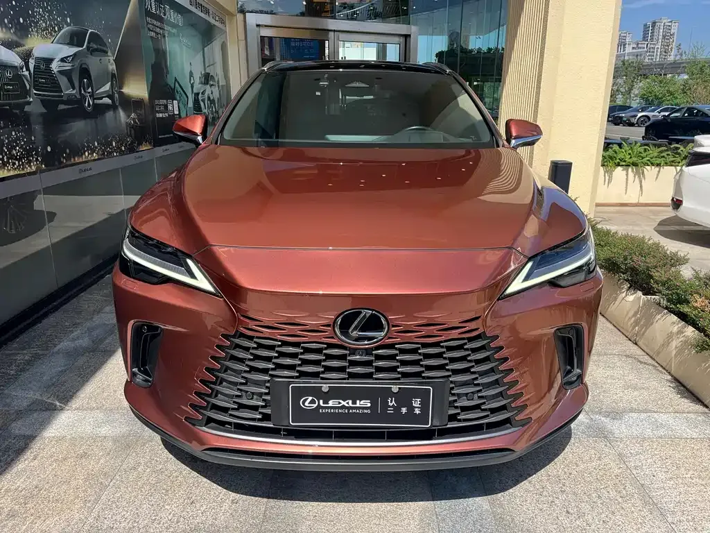 Lexus RX New Energy — фото 10