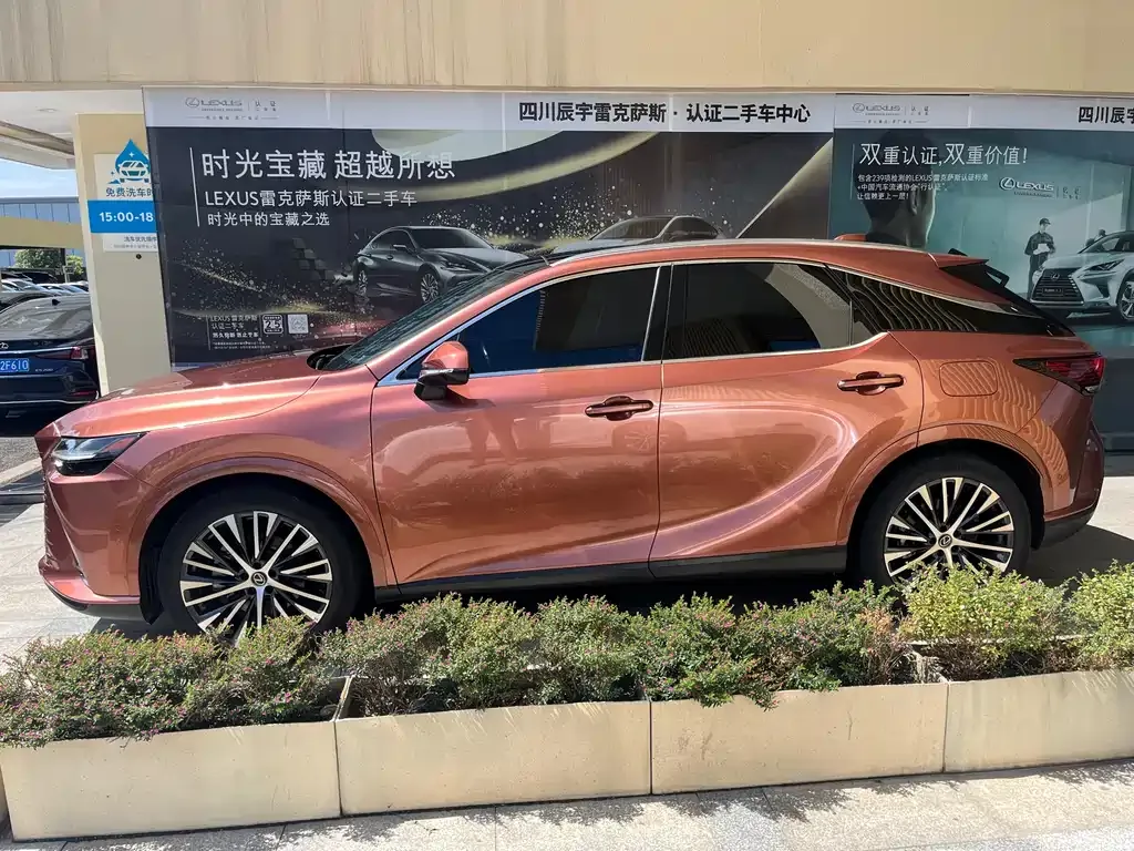 Lexus RX New Energy — фото 5