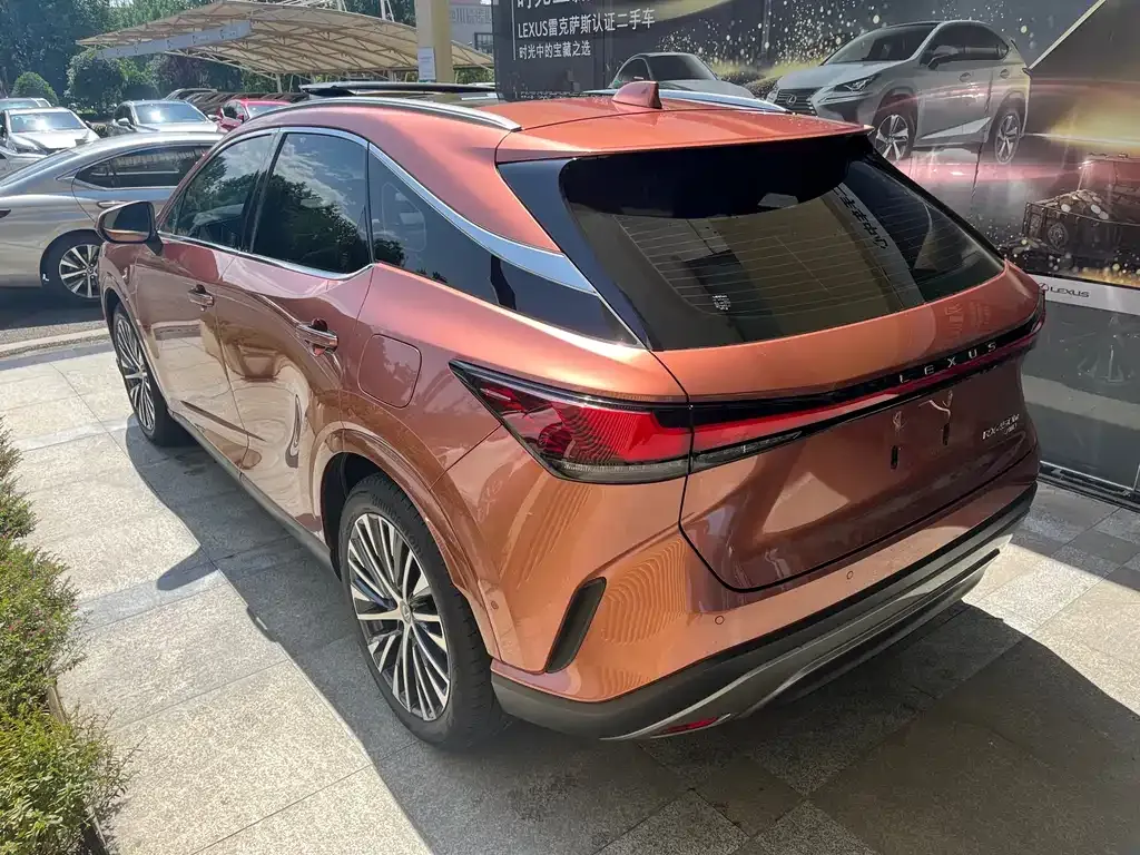 Lexus RX New Energy — фото 7