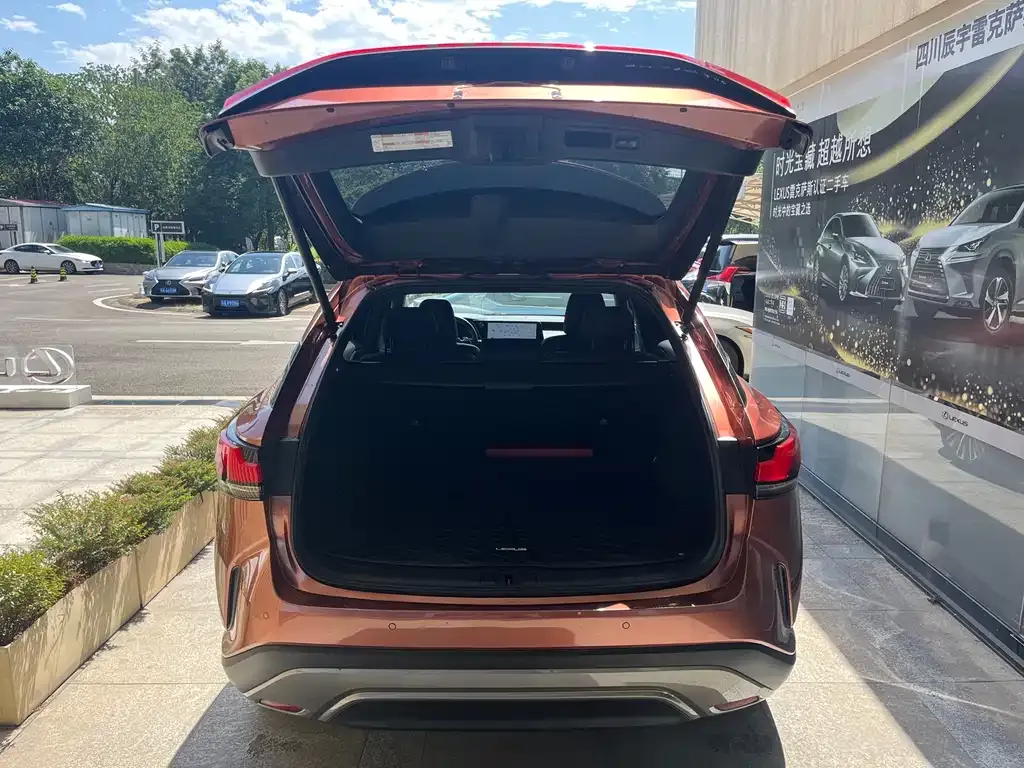 Lexus RX New Energy — фото 3