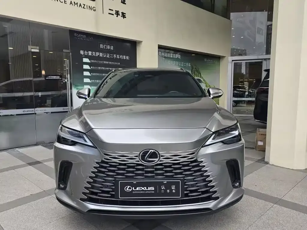 Lexus RX New Energy — фото 8