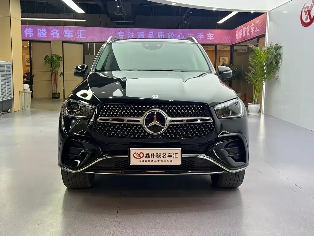 Mercedes-Benz 奔驰GLE(进口) — фото 6