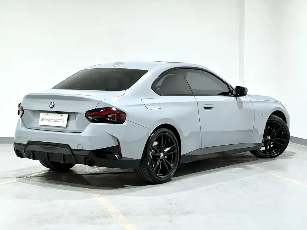 BMW 2 Series (Import) — фото 8