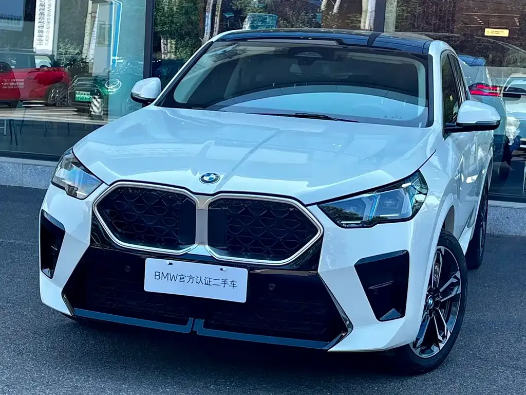 BMW X2 (Import) — фото 1