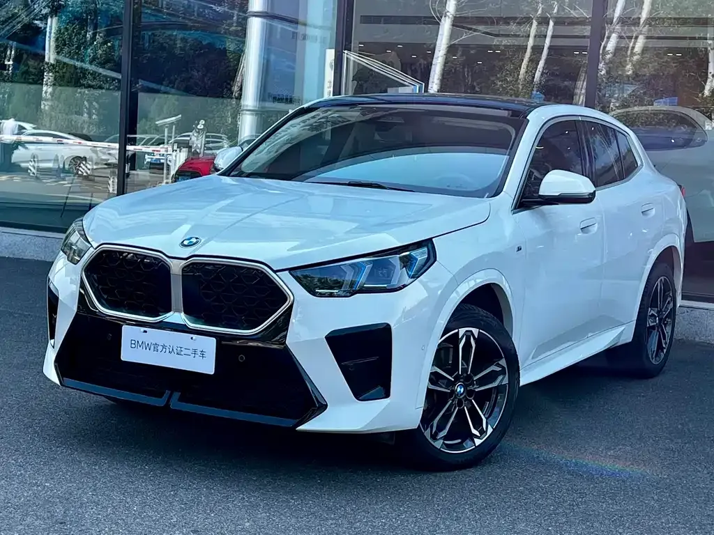 BMW X2 (Import) — фото 9