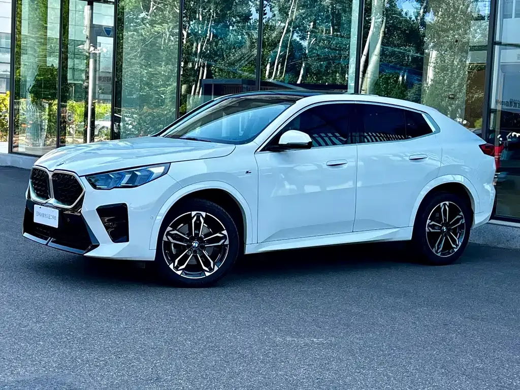 BMW X2 (Import) — фото 8