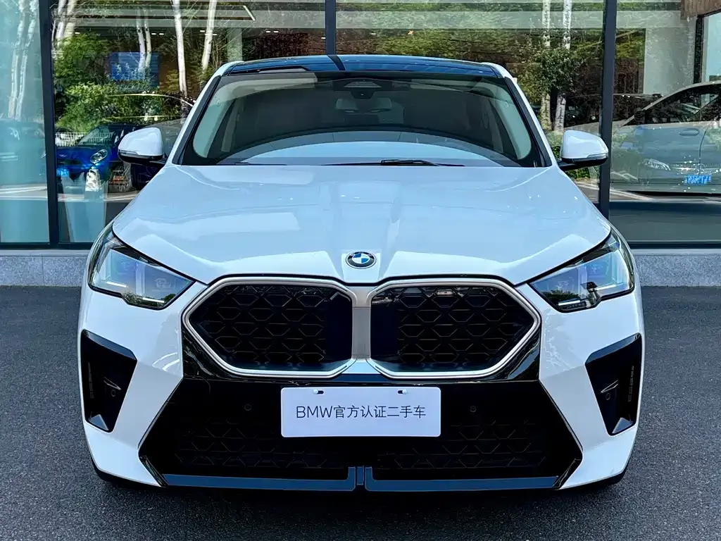 BMW X2 (Import) — фото 3