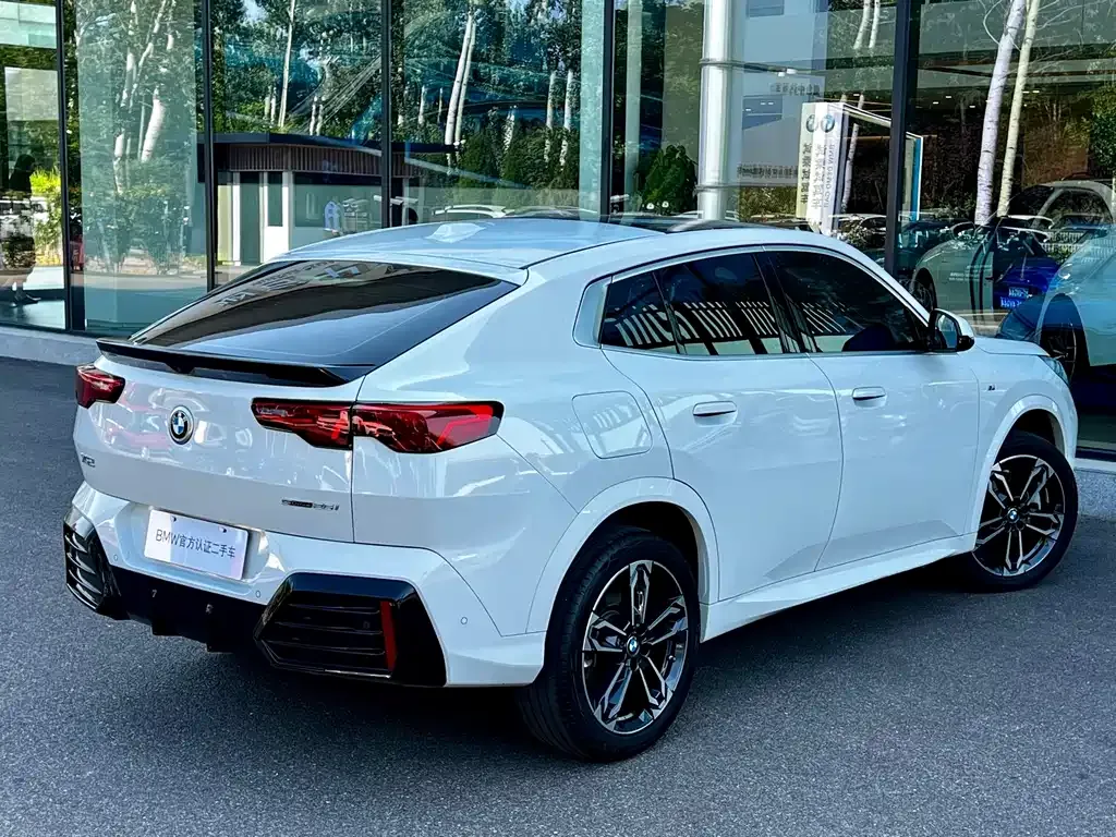 BMW X2 (Import) — фото 10