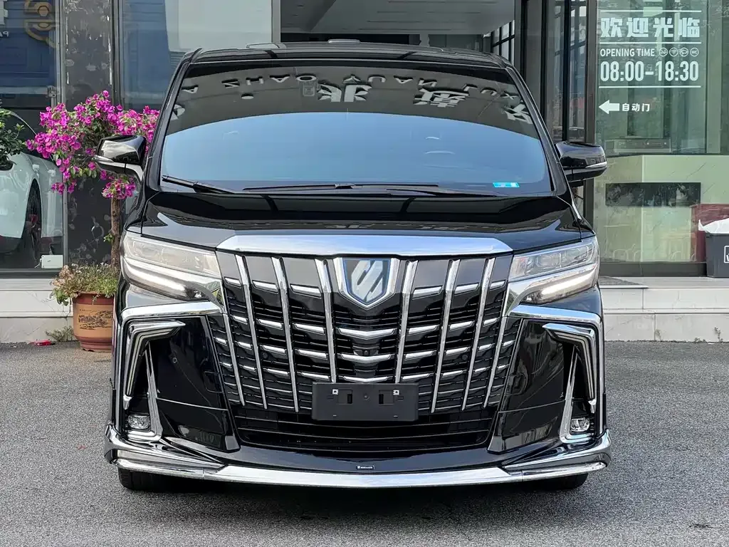 Toyota Alphard — фото 9