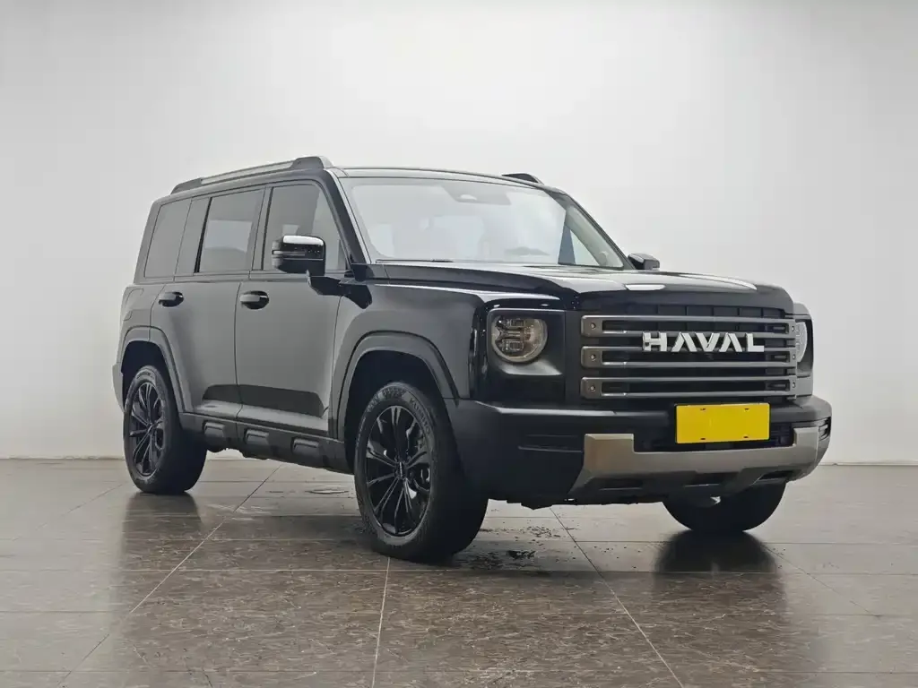 Haval Menglong New Energy — фото 10