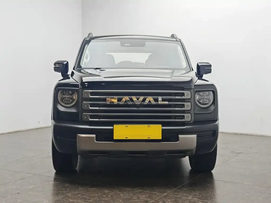 Haval Menglong New Energy — фото 2