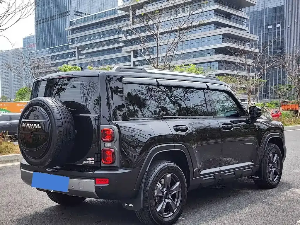 Haval Menglong New Energy — фото 10
