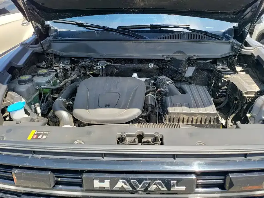Haval 长城猛龙 PLUS — фото 6