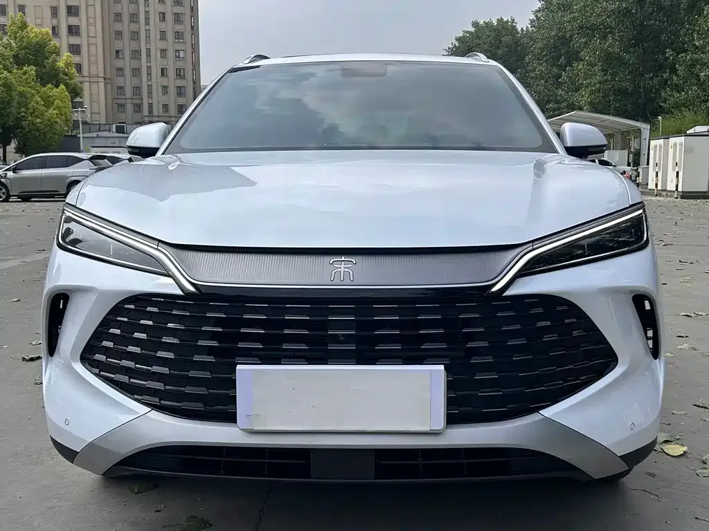 BYD L DM-i — фото 6