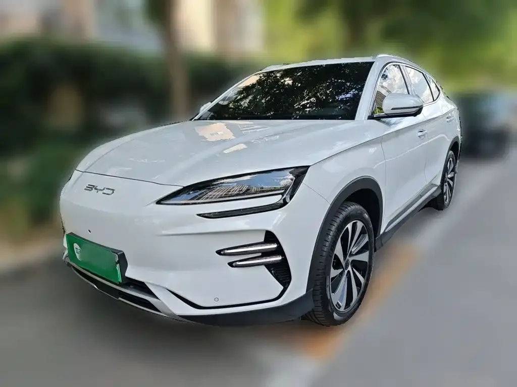BYD PLUS New Energy — фото 4