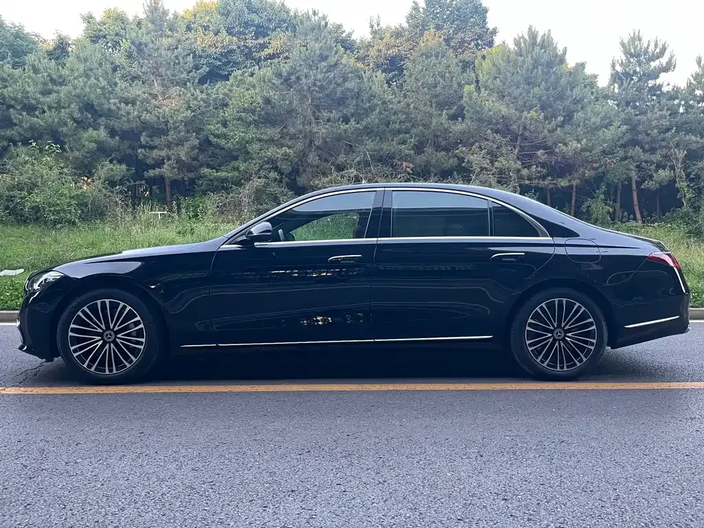 Mercedes-Benz S-Class New Energy — фото 8