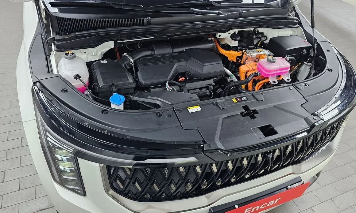 Kia Carnival — фото 10