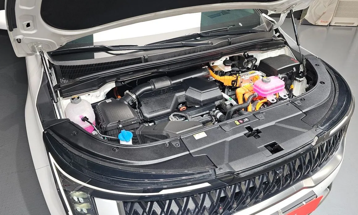 Kia Carnival — фото 10