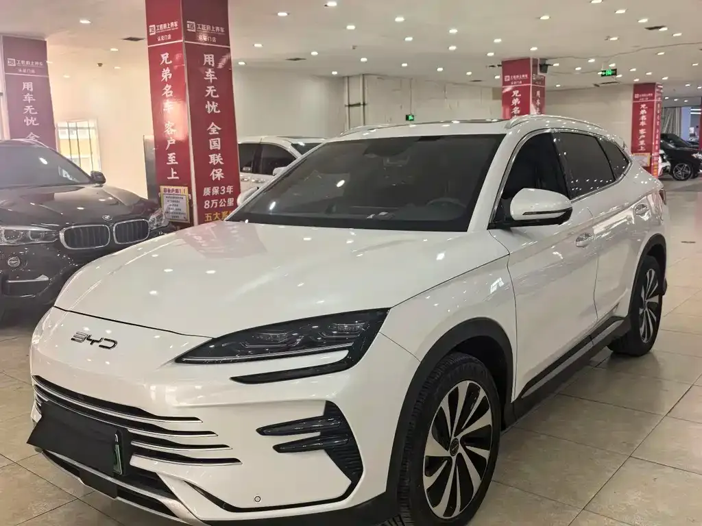 BYD PLUS New Energy — фото 1